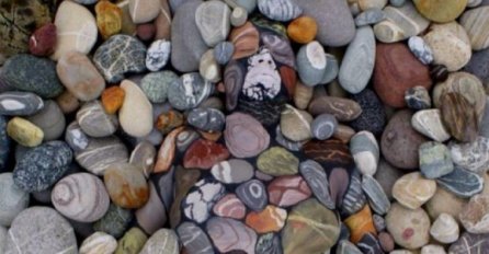 Da li imate oštro oko? Na fotografiji je gomila kamenja ili…? 