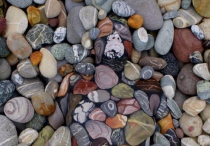 Da li imate oštro oko? Na fotografiji je gomila kamenja ili…? 