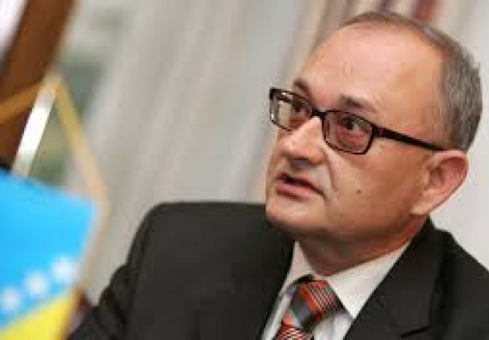 Bosanci u Hrvatskoj politici