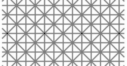 Ova iluzija će vas dovesti do ludila: Koliko tačaka vidite?