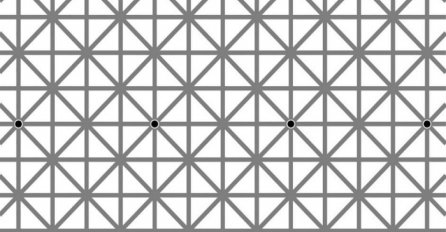 Super iluzija: Koliko crnih točkica vidite na fotografiji?
