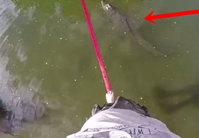 Hodao je po žici dok je ispod njega plivao krokodil, a onda se dogodilo ovo (VIDEO)