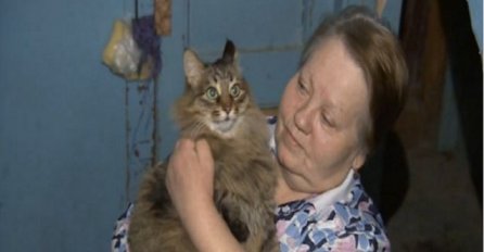Neočekivani heroj: Mačka lutalica spasila bebu od smrzavanja (VIDEO)