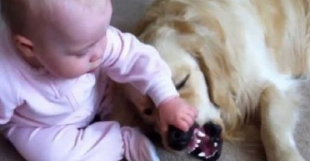 Beba je uhvatila psa za njušku, a onda se desilo nešto sasvim neočekivano (VIDEO)