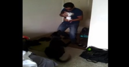 Došao je kući sa svojim tek rođenim sinom, no reakcija njegovog labradora je čudesna (VIDEO)
