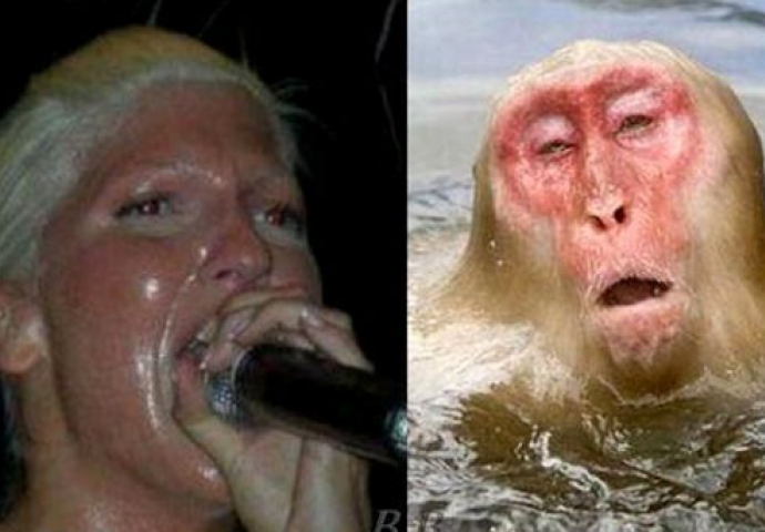 Da nije budala, ovaj bi svijet bio neodoljivo dosadna dimenzija za življenje (FOTO)