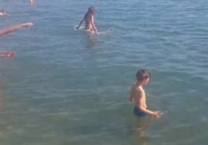 Bosanci oduševili region: Sa samo dvije riječi do suza nasmijali sve!