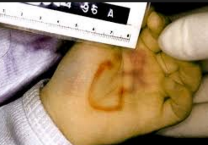 Niko ne zna ko je ubica: Proglašena za "najljepšu djevojčicu" (6) a onda je misteriozno zadavljena u podrumu  (FOTO)