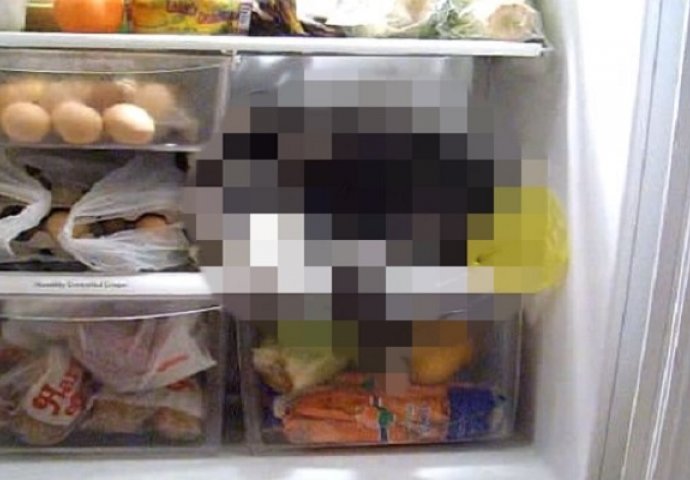 Ostavili su otvoren frižider i izašli napolje: Kada su se vratili, dočekao ih je ovaj prizor (VIDEO)