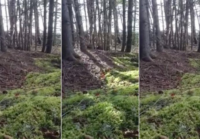 Kamerom snimio jezivu scenu: 'Zemlja koja diše' napoznata naučnicima (VIDEO)