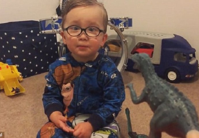 Mali ekspert: Ovaj dvogodišnji dječak zna sve dinosaure 