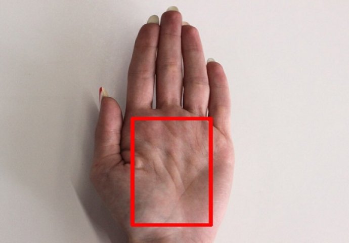 Oblik dlana otkriće vam da li ste rođeni vođa, mudrac, umjetnik ili baštovan (FOTO)