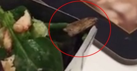 Jela je svoju omiljenu salatu, a onda je iz nje izašlo nešto odvratno! (VIDEO)