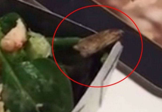 Jela je svoju omiljenu salatu, a onda je iz nje izašlo nešto odvratno! (VIDEO)