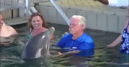 Pljunuo je delfina, no čekajte da vidite šta će se dogoditi u nastavku (VIDEO)
