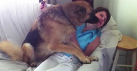 Ona samo jedan dan nije bila kod kuće: Kada vidite reakciju njenog psa, ostat ćete bez riječi (VIDEO)