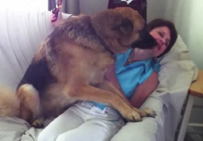 Ona samo jedan dan nije bila kod kuće: Kada vidite reakciju njenog psa, ostat ćete bez riječi (VIDEO)