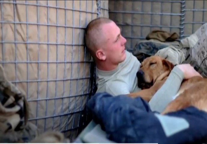 Ovaj pas mu je spasio život dok je služio vojsku, evo kako je izgledao njihov ponovni susret (VIDEO)