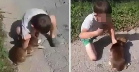  Dječak iz Maglaja zlostavlja malog psića: Zbog ovoga nam djeca postaju kriminalci!  (UZNEMIRUJUĆI VIDEO)