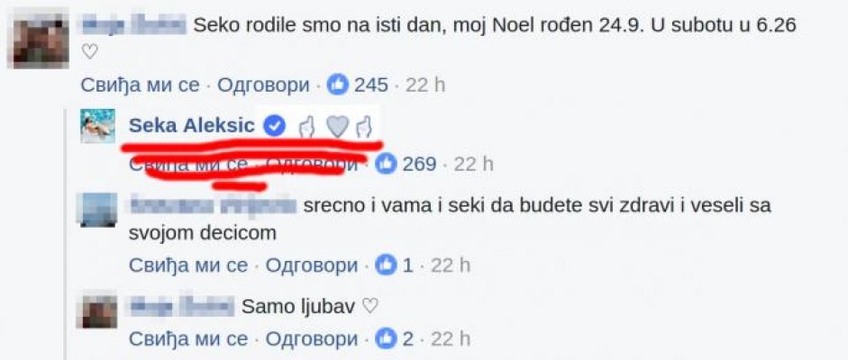 komentar-seka-aleksic-foto-facebook