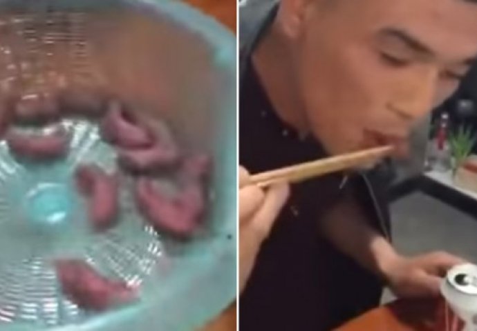 Zgrozit ćete se :  Uzeo je bebe miša, uvaljao u sos i žive pojeo  (VIDEO) 