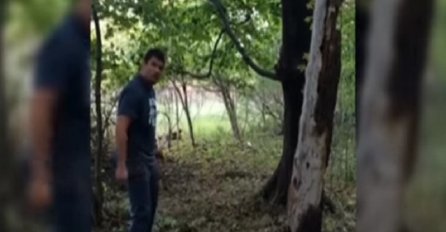 Kada pogledate način na koji je ovaj momak oborio stablo, ostat ćete bez riječi (VIDEO)