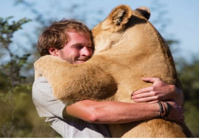 Lav ne zaboravlja: Zagrlio čovjeka koji mu je spasio život (VIDEO)