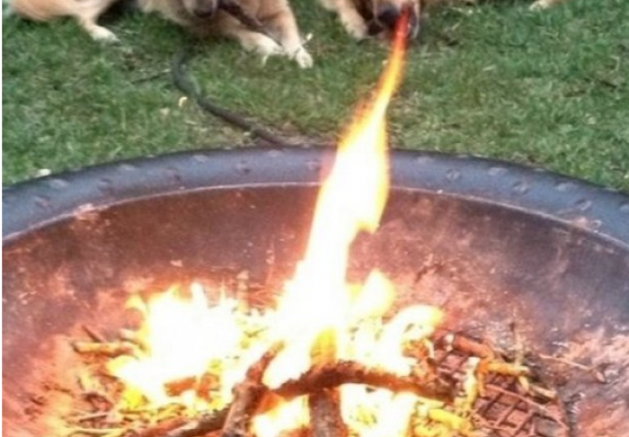 Fotografije koje nisu mogle da nastanu u boljem/gorem trenutku (FOTO)