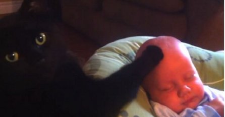 Beba nije prestajala plakati sve dok mačka nije uradila nešto čudesno (VIDEO)