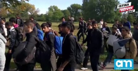Više stotina migranata pješice krenuli iz Beograda prema Mađarskoj [VIDEO]