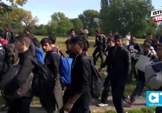 Više stotina migranata pješice krenuli iz Beograda prema Mađarskoj [VIDEO]