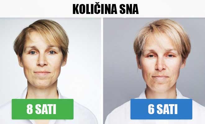 kolicina-sna-glavna