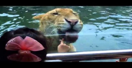 Stala je ispred lava i stavila ruku na staklo, pogledajte šta će se dogoditi u nastavku (VIDEO)