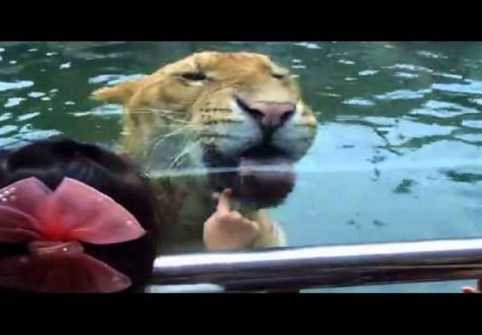 Stala je ispred lava i stavila ruku na staklo, pogledajte šta će se dogoditi u nastavku (VIDEO)