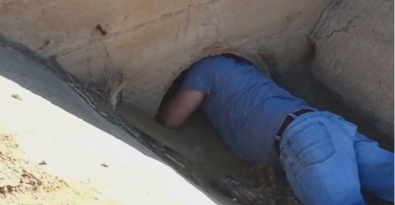 Čuo je cviljenje iz kanalizacione cijevi, ono što je pronašao će vam slomiti srce (VIDEO)