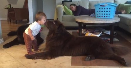 Beba je samo htjela da poljubi psa, ali onda se desilo nešto što nije očekivala (VIDEO)