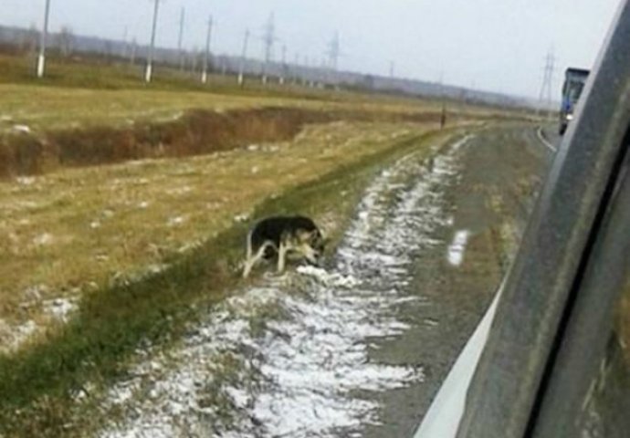 Ovaj pas svakog dana sjedi i čeka na istom mjestu pored ceste: Kada vidite razlog naježit ćete se! 