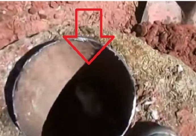 Grozno: Radnici su čuli zvukove iz metalne cijevi, nećete vjerovati šta su pronašli unutra (VIDEO)