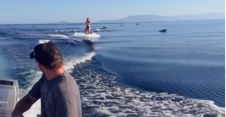 Zabavljali su se na otvorenom moru, a onda su shvatili da nisu sami (VIDEO)
