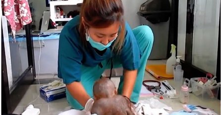 Ova beba je cijeli život bila zaključana u kavezu, ono što medicinska sestra radi je prekrasno (VIDEO)