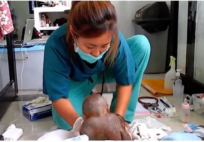 Ova beba je cijeli život bila zaključana u kavezu, ono što medicinska sestra radi je prekrasno (VIDEO)