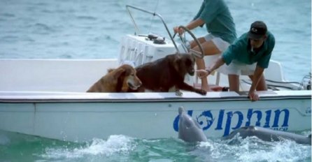 Kada se delfin približio čamcu, nisu imali pojma da će uraditi ovo (VIDEO)