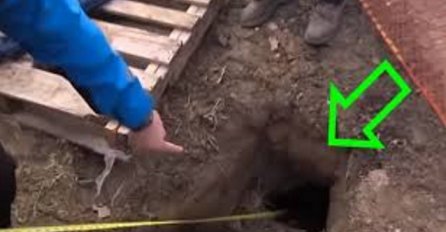  Pas spašen nakon što je 72 sata proveo zakopan ispod zemlje (VIDEO)