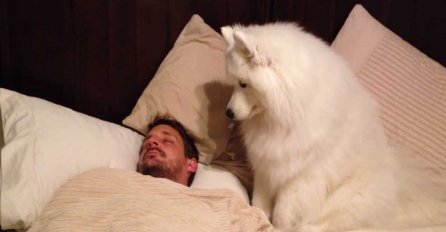 Reakcija ovog psa popravit će vam dan: Vrijeme je za jutarnju šetnju, ali gazda još spava (VIDEO)