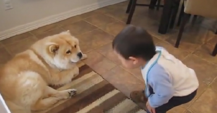 Beba i pas imaju najslađu raspravu na svijetu, ovo će vam rastopiti srce (VIDEO)