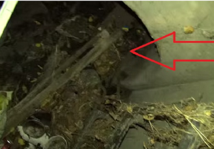 Godinama niko nije zavirio u ovaj šaht, nećete vjerovati šta su pronašli dolje (VIDEO)