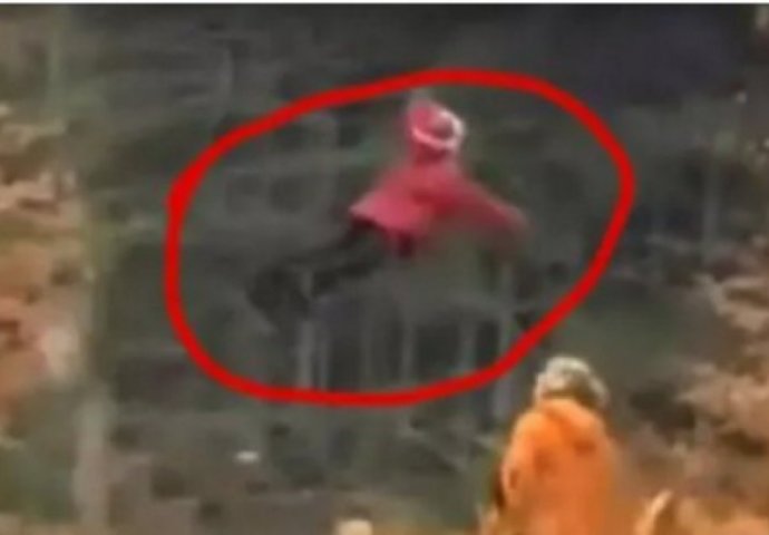 Nevjerovatan snimak kruži internetom: U šumi snimljena djevojčica koja leti! (VIDEO)