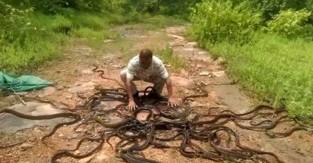 Morate da vidite kako izgleda završetak radnog dana jednog hvatača zmija (VIDEO)