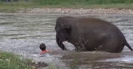 Slonica ušla u rijeku kako bi spasila život čovjeku koji se "utapao" (VIDEO)