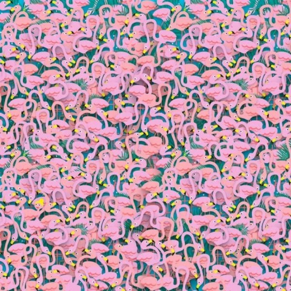 flamingosi-tw-1000x0